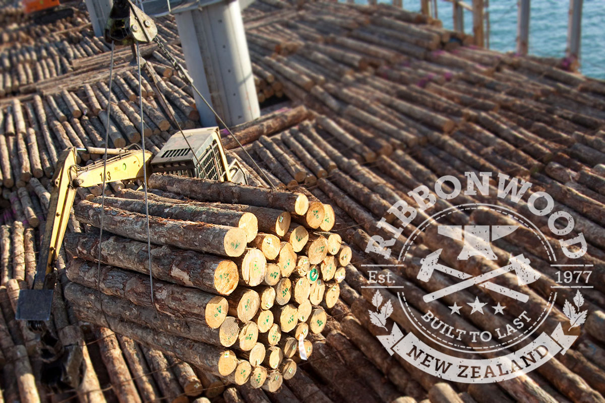 China Log Market 2019