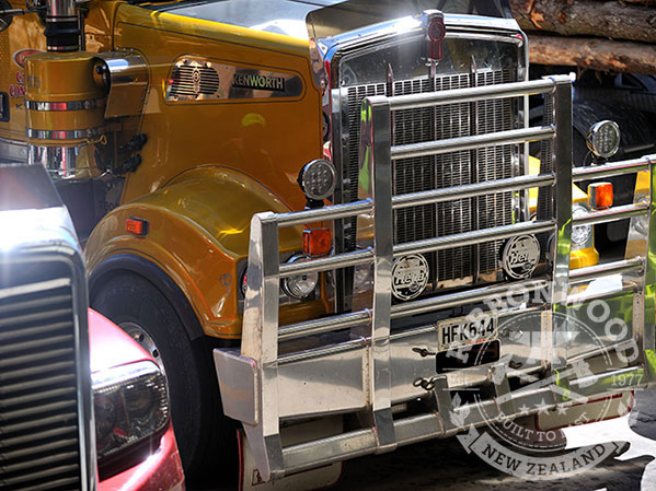 T.H.E EXPO Mystery Creek 2-4 March 2017