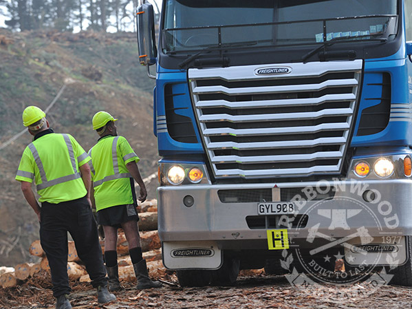 Ribbonwood Health & Safety of Forest Workers