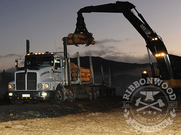 Ribbonwood buys New Zealand logs