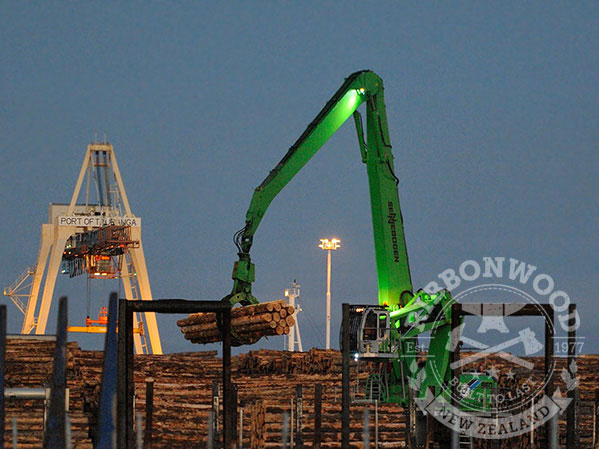 Ribbonwood manages forest harvesting